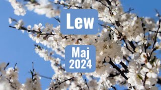 Lew  horoskop maj 2024 [upl. by Ahseat]