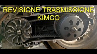 sostituzione cinghia kimco trasmissione rulli [upl. by Esilahc844]