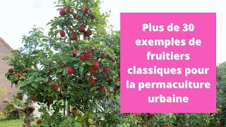 Plus de 30 exemples de fruitiers classiques pour la permaculture urbaine [upl. by Martelli]