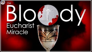 Miracle Eucharist Bleeds Miracle Catholic ANF [upl. by Raimes]