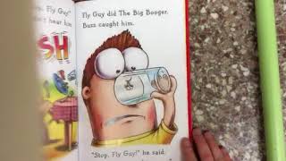 2nd Grade Read Aloud Fly Guy [upl. by Remy410]