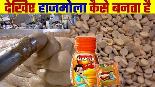 देखिए हाजमोला कैसे बनता है  Hajmola Kaise Banta Hai  How Hajmola is Made in Factory [upl. by Glyn]