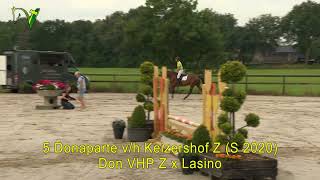 Sportpaardenveiling Dronten  05  Donaparte S  Don VHP Z x Lasino [upl. by Ecirrehs]