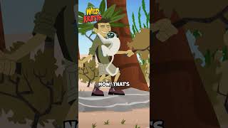 Lemurs have an Amazing Creature Ability  Vertical Clinging and Leaping  Wild Kratts zoboomafoo [upl. by Viridi]