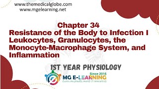 Resistance of the Body to Infection I Leukocytes Granulocytes the MonocyteMacrophage Chapter 34 [upl. by Dadirac165]