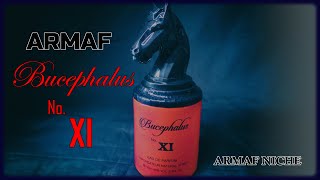 ARMAF BUCEPHALUS NO XI 2019 REVIEW  ARMAF NICHE  NOT COMPARING TO AVENTUS [upl. by Mecke]