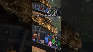 Подводный туннель  планет зоо  planet zoo  under water planetzoo planetzoogame игры games [upl. by Hanima]