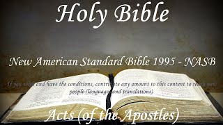 English Audio Bible  Acts of the Apostles COMPLETE  New American Standard Bible 1995 NASB [upl. by Kaycee180]