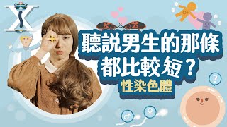 性別平等是有科學根據的！科學史上女權第一人！【LIS科學史】（史蒂文斯  性染色體） [upl. by Irak901]