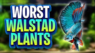 Bad Plants For Walstad Method Tanks Theres Better Options For Your Dirted Planted Tanks [upl. by Rubinstein]