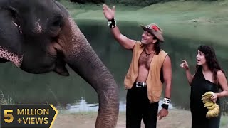 Safari Full Movie HD सफारी पूरी मूवी 1999 Sanjay Dutt Superhit Hindi 90s Film Juhi Chawla Tanuja [upl. by Maire]