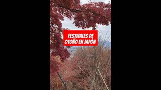 Los festivales de otoño en Japón [upl. by Eocsor531]