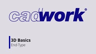 EndTypes Cadwork Basics [upl. by Ayanat406]