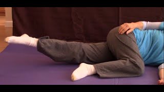 SideLying Lower Body Abduction and Adduction [upl. by Nalac434]