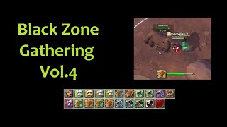 Black Zone Gathering Vol4  Albion Online [upl. by Aiceled]