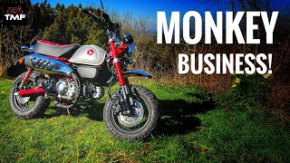 Ultimate City Bike Honda Monkey First Ride Review [upl. by Aiuqal45]