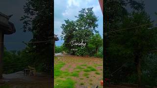 rain raining trending oldsong view nature shorts reels [upl. by Trinette]