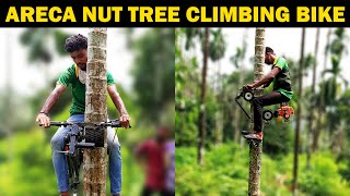 Arecanut Tree Climbing Machine  Betel nut  Areca nut Tree Climber Bike [upl. by Frerichs]