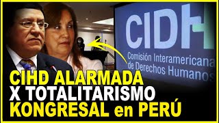 OEA CIDH en alerta por la dictadura Congresal Charla con la penalista Janet Marín [upl. by Loren745]