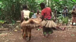 African Culture and Tradition  Traditional Dance Danse des pygmées du Cameroun [upl. by Lundin437]