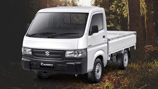 Suzuki Carry 2022 RV Motor Home [upl. by Ybroc303]