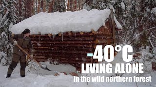 SURVIVE THE WINTER IN A SMALL COZY LOG CABINDocumentary [upl. by Chaffinch]