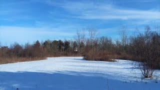 Michigan Hunting Land For Sale 10 Acres Lapeer County [upl. by Agrippina]