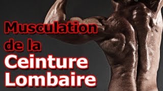 Exercice de Musculation de la Ceinture Lombaire [upl. by Anyala]