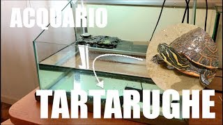 Come FARE lAcquario delle TARTARUGHE dAcqua Dolce Allestimento Acquario [upl. by Evania808]