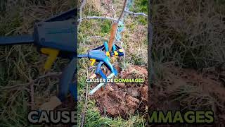 Astuce Simple Pour Redresser un Jeune Arbre au Tronc Tordu verger arbre astuce jardin jujubier [upl. by Uv]