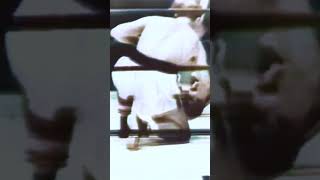 Rocky Marciano vs Archie Moore Boxing Fight Highlights [upl. by Agosto]