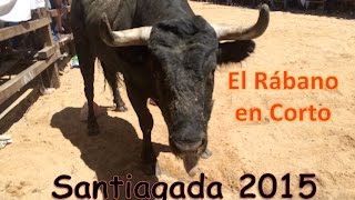 El Rabano en Corto Santiagada 2015 [upl. by Thea]