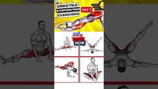 Kegel Exercises for Men Last Longer for Beginer pelvic pelvic kegel shorts kegelexercises [upl. by Ahtram]