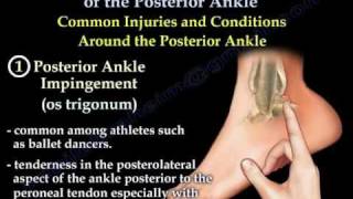 Posterior Ankle  Anatomy And Injury  Everything You Need To Know  Dr Nabil Ebraheim [upl. by Meedan925]