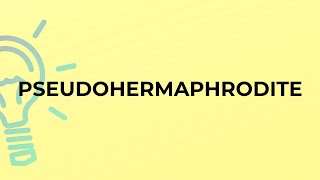 What is the meaning of the word PSEUDOHERMAPHRODITE [upl. by Ribble721]