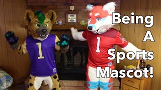 how FURRIES can be SPORTS MASCOTS a guide [upl. by Marmion]