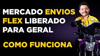 Tudo sobre o Mercado Envios Flex Como Funciona o Motoboy do Mercado Livre [upl. by Aniras]