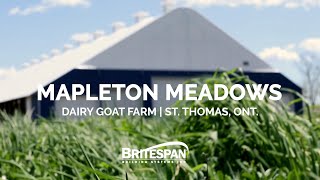 Mapleton Meadows Testimonial — Epic Britespan Dairy Goat Barn [upl. by Elenahc613]