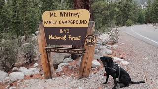 FULL Campsite Tour of Whitney Portal Campground 144 Mount Whitney California [upl. by Drofhsa]