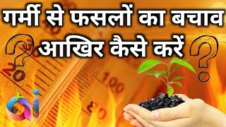 Hot Weather Hacks How to Keep Your Plants Cool and Happy [upl. by Garihc]