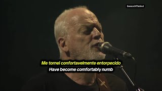 David Gilmour  Comfortably Numb  Live São Paulo 2015 Legendado [upl. by Ibrab]