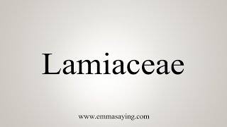 How To Say Lamiaceae [upl. by Ettenaj989]