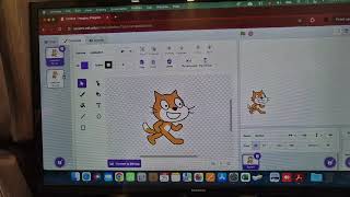 Scratch Programming [upl. by Ikkir]