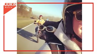 Goggle Wearing French Bulldog Rides Motorcycle with Owner [upl. by Marston]