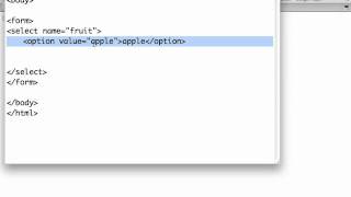 HTML Forms  Dropdown Lists [upl. by Navlys]