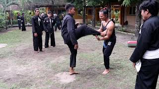 Silahturahmi Muay Thai Dan Silat PSHT Mengupas Tehnik Dasar Silat [upl. by Eibor608]