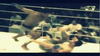 Gegard Mousasi Highlights 2012 [upl. by Nilesoj]