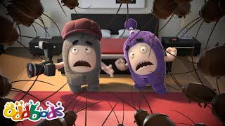 Bugged Out  Oddbods Full Episode  Funny Cartoons for Kids [upl. by Llert]