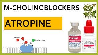 Atropine  mechanism of action indications side effects amp contraindications [upl. by Agem]