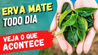 Beber MATE TODO DIA  Veja o que ACONTECE com você USE ASSIM [upl. by Ihana402]